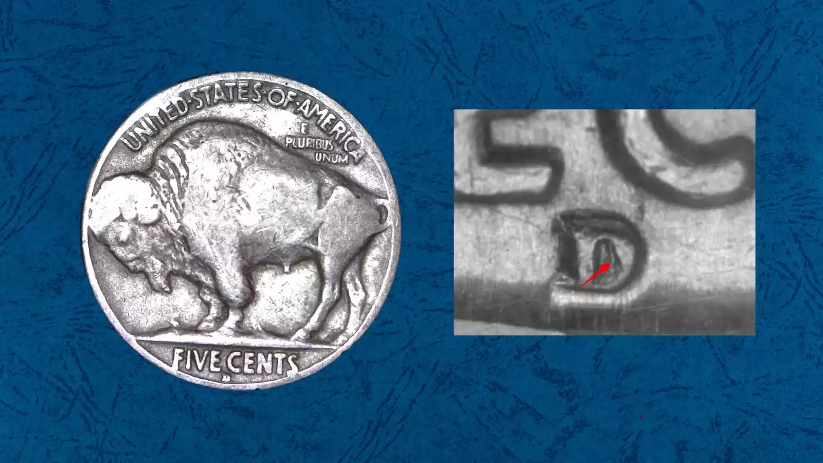 1934-D Buffalo nickel repunched mint mark close-up showing doubled D impression below FIVE CENTS